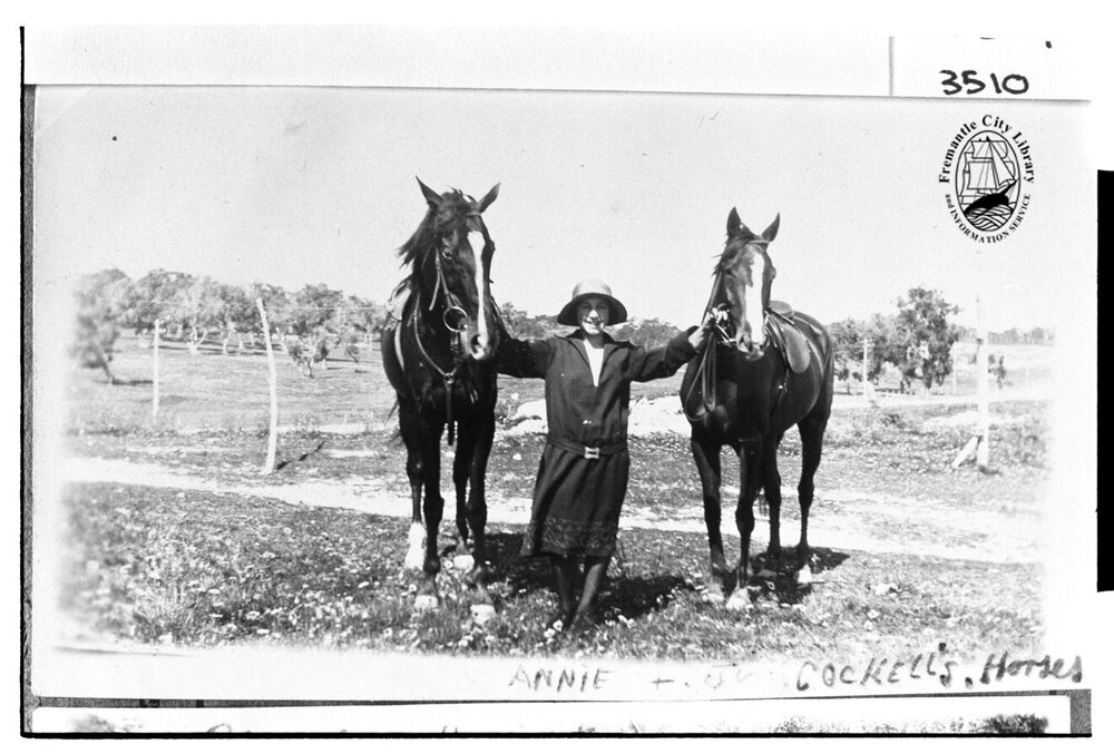 Annie and J D Cockell's horses
