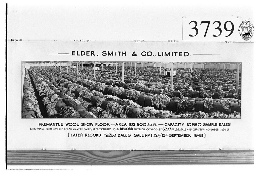 Elder Smith wool show