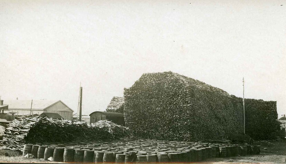 Stacks of cut sandalwood and barrels