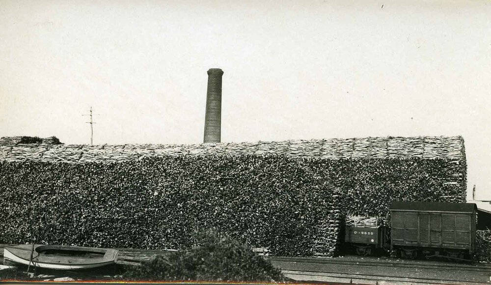 Sandalwood stockpile, South Mole