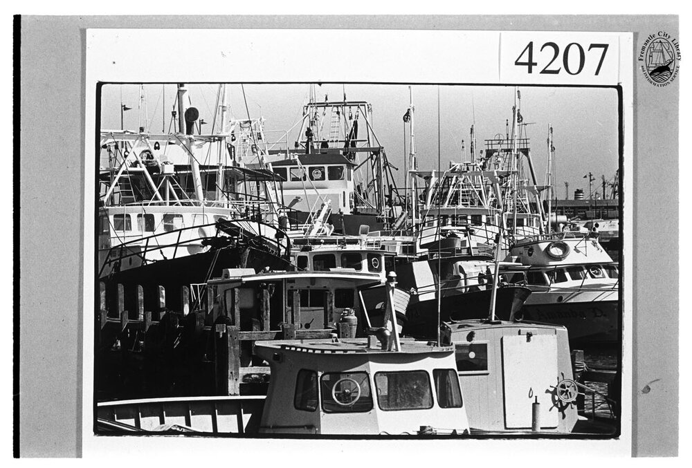 Fishing boats