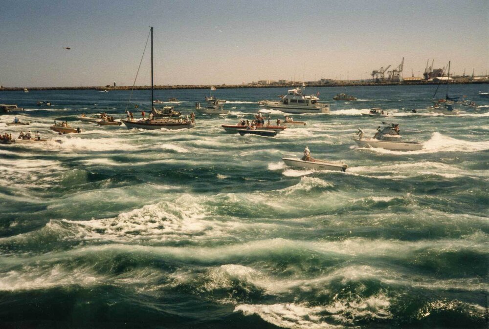Spectator boats, Americas Cup