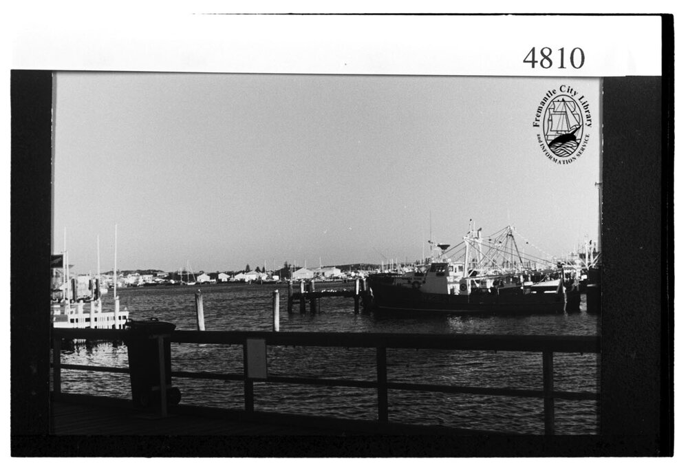 Fishing Boat Harbour