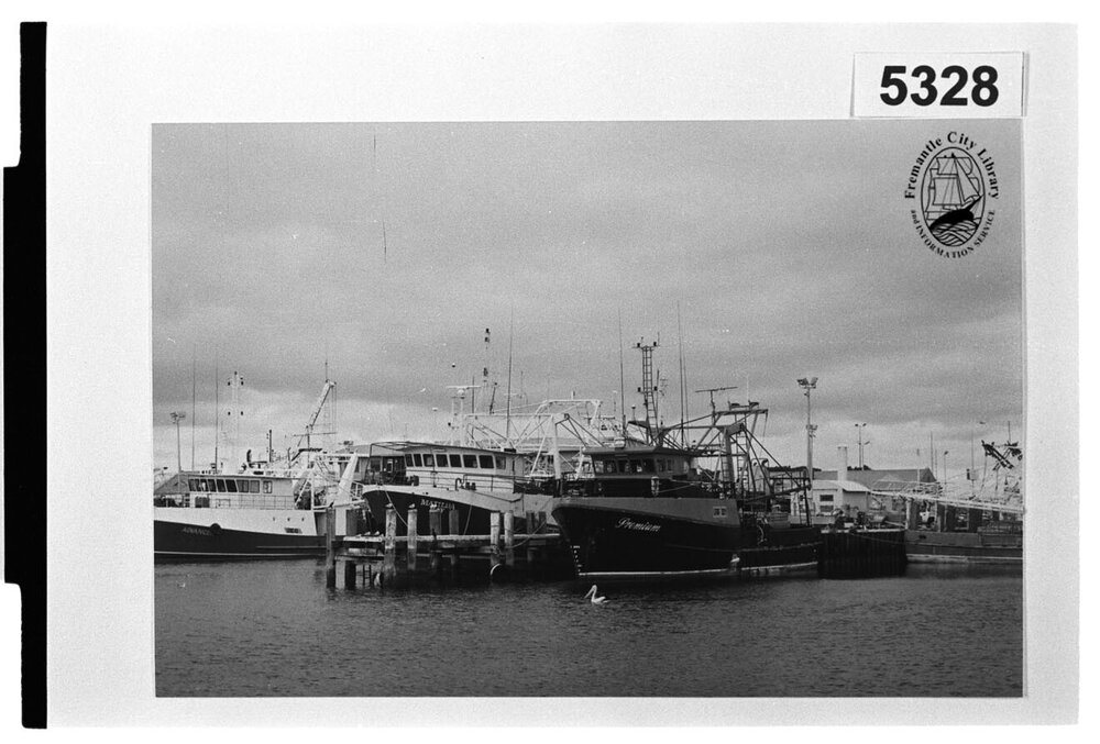 Boats in Fishing Boat Harbour