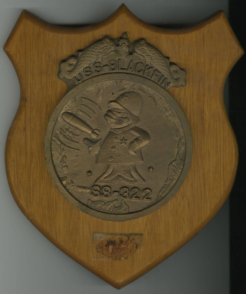 USS Black Fin