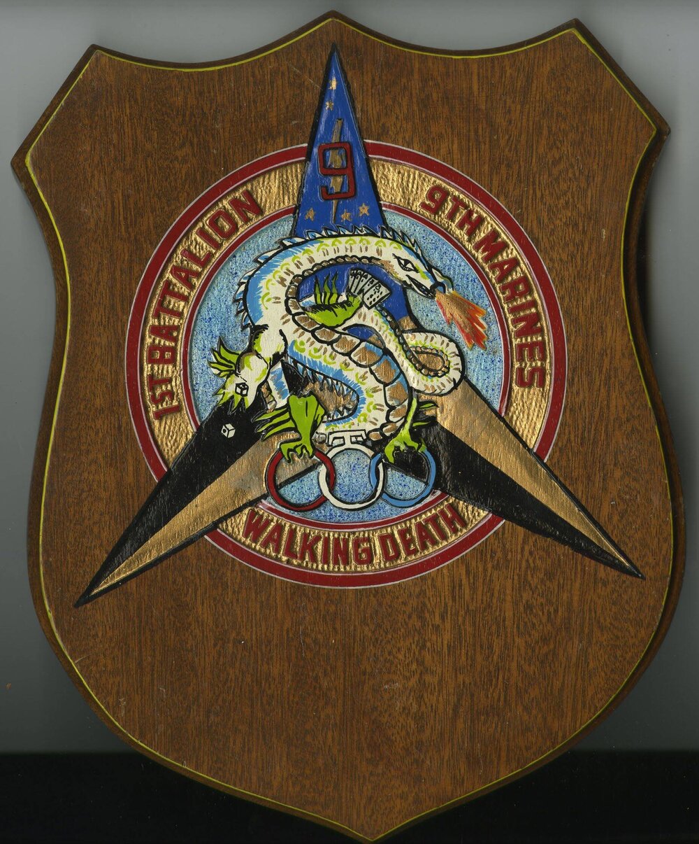 US Navy - 1st Battalion 9th Marines