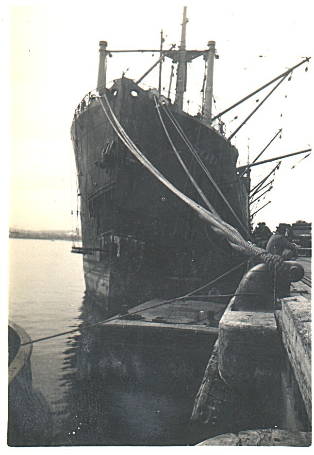 SS Arkaba at Fremantle with bow damage.