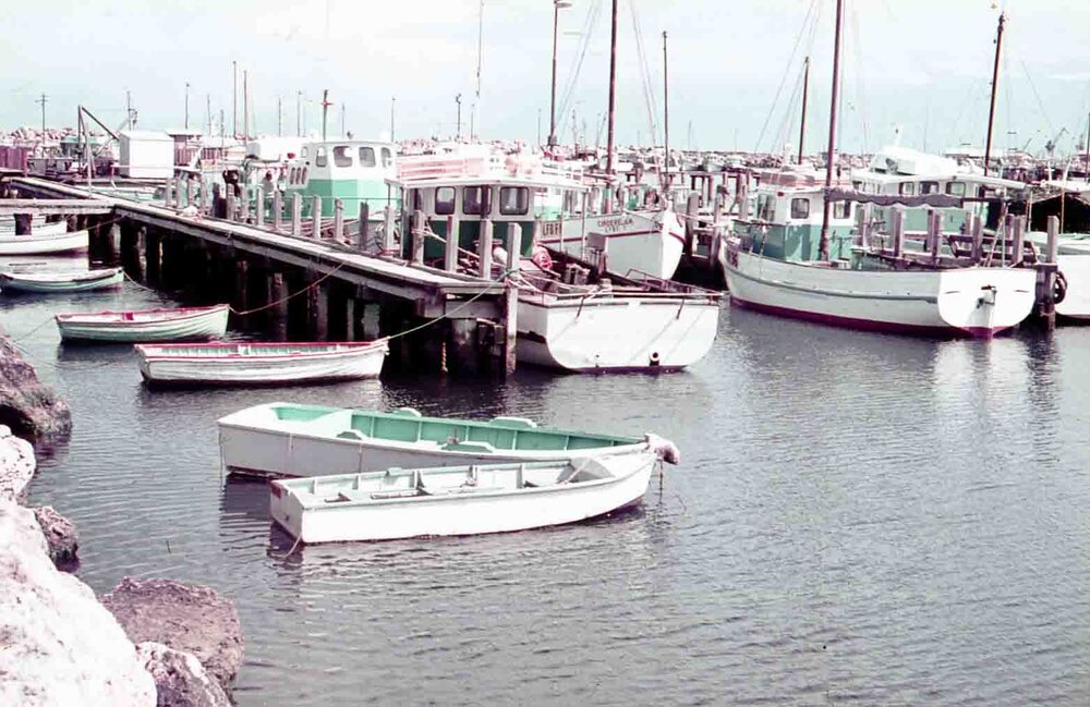 Fremantle Fishing Boat Harbour c1960