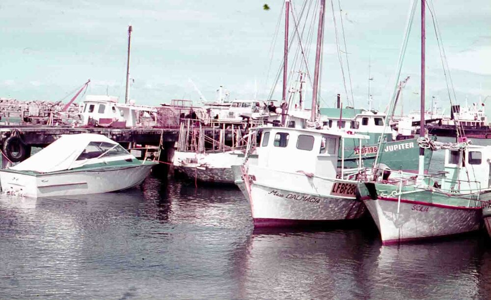 Fremantle Fishing Boat Harbour c1960