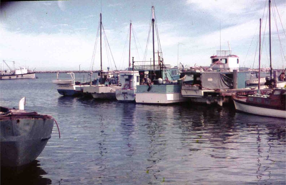 Fremantle Fishing Boat Harbour c1960