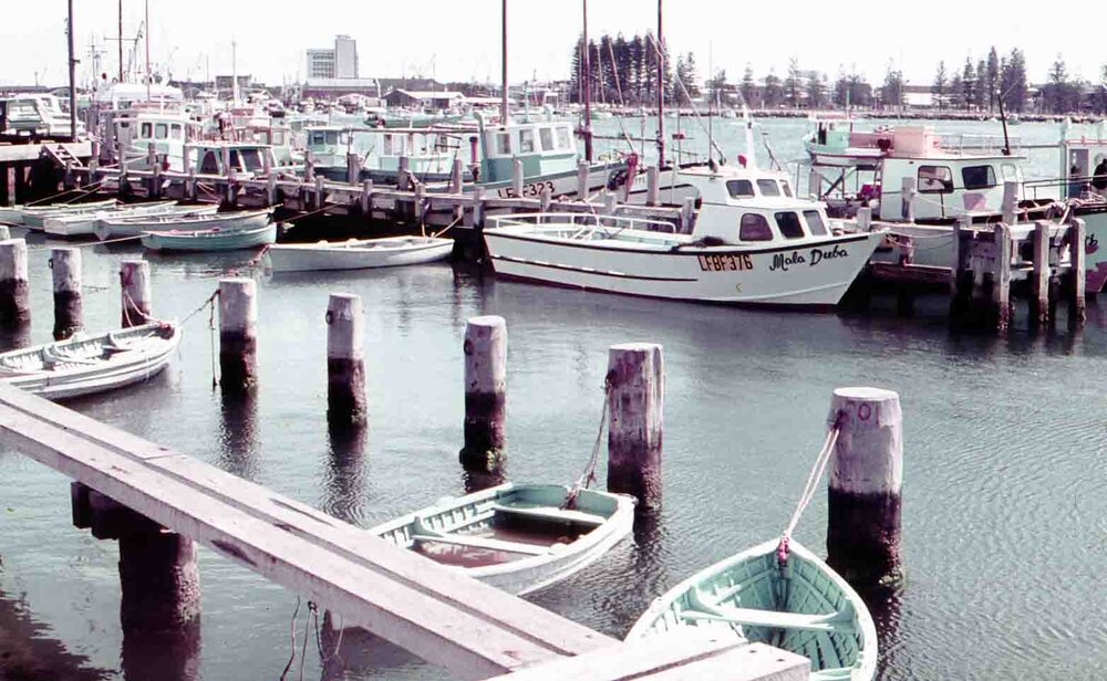 Fremantle Fishing Boat Harbour c1960