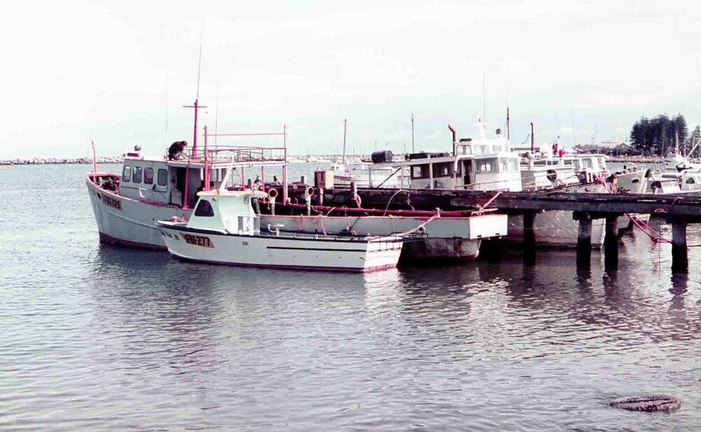 Fremantle Fishing Boat Harbour c1960