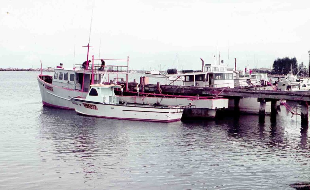 Fremantle Fishing Boat Harbour c1960