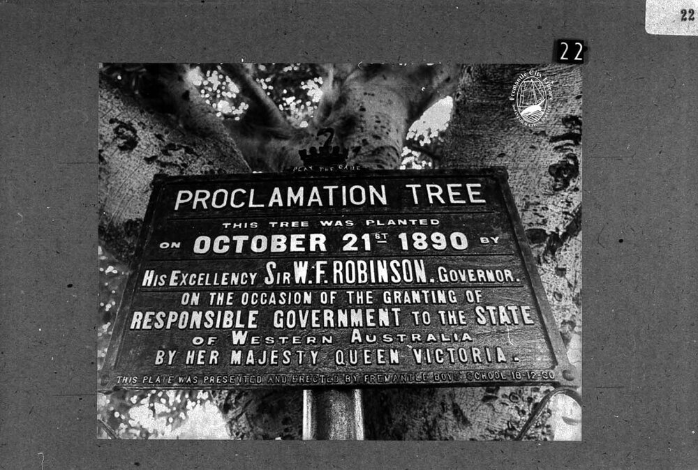 Notice under Proclamation Tree