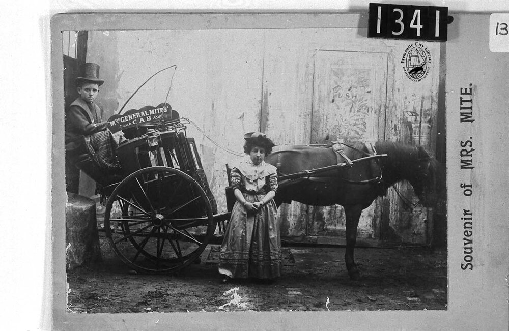 Souvenir of Mrs Mite