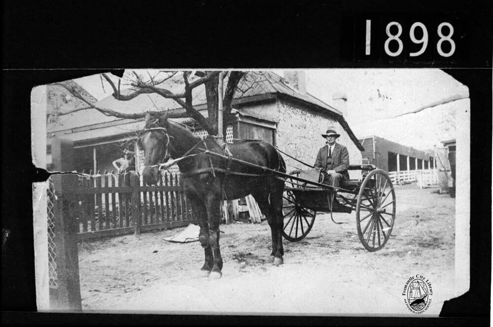 Stan Young in a sulky