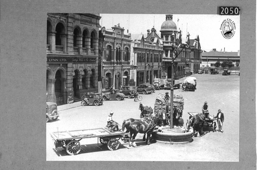Horse trough in Phillimore Street