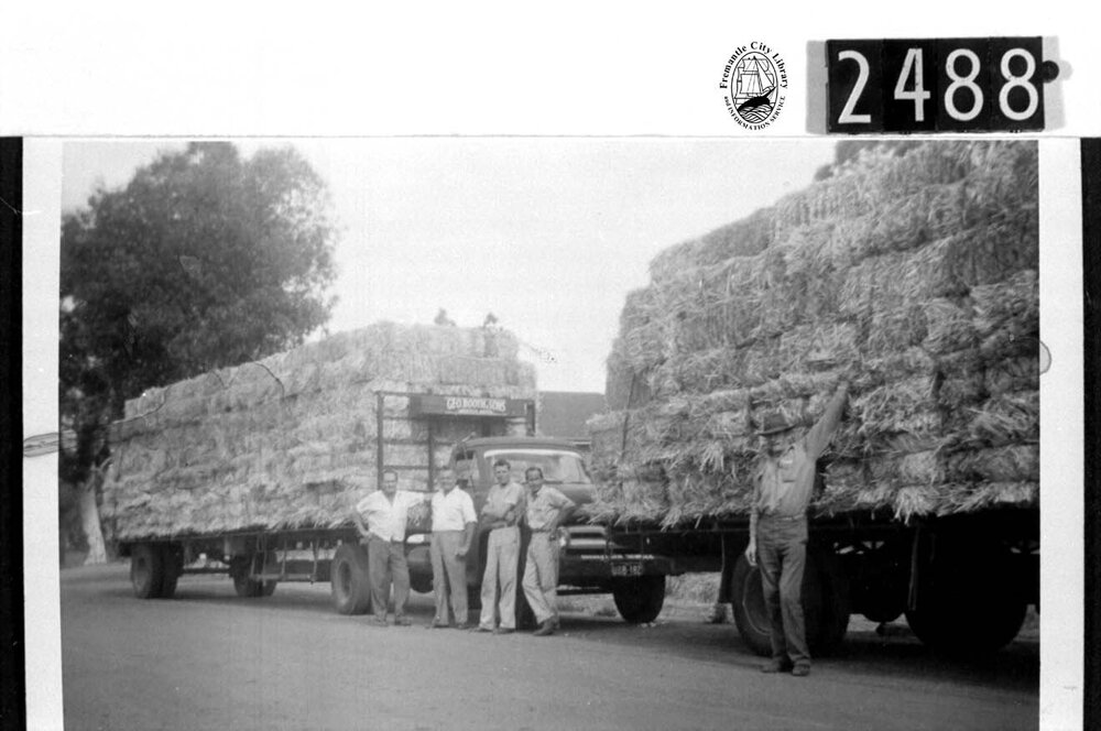 George Booth and Sons
