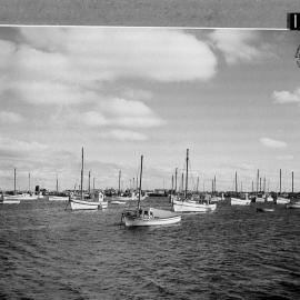 Fishing Boat Harbour