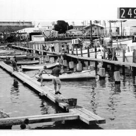 Fishing Boat Harbour