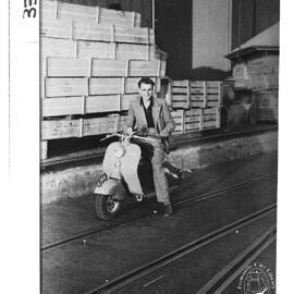 Austrian timber houses