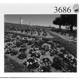 Floral design on Monument Hill