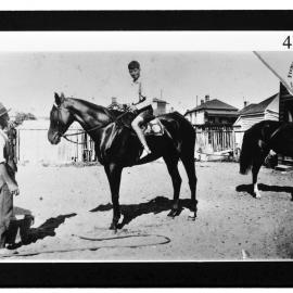 Cridlands Racing Stables