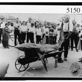 Shark caught at South Beach