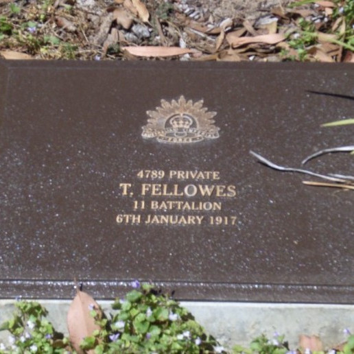 Fellowes, Thomas