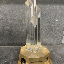 Leadership Award - 2002 WALGA