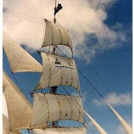 Departure of the re-enactment fleet for the 200th Anniversary of arrival of the First Fleet in 1788.