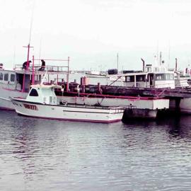 Fremantle Fishing Boat Harbour c1960