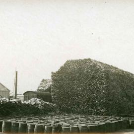 Stacks of cut sandalwood and barrels
