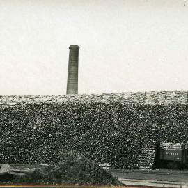 Sandalwood stockpile, South Mole