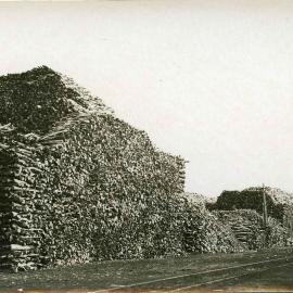 Stacks of sandalwood, Fremantle Power House, South Mole