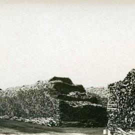 Sandalwood stacks, South Mole