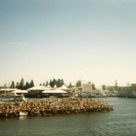Americas Cup spectators on groyne at Fishing Boat Harbour